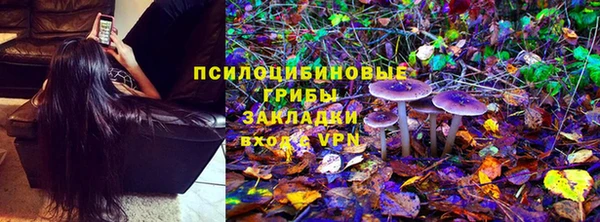 мдма Белокуриха