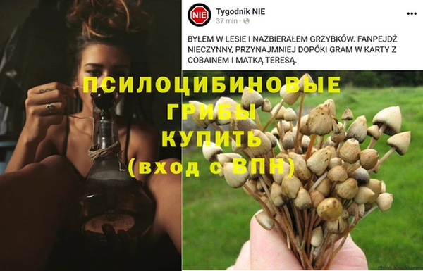 MDMA Premium VHQ Беломорск